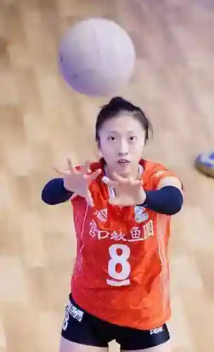 王者女排阵容搭配图片最新(中国女排最佳阵容)插图3