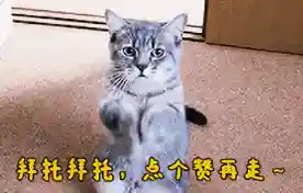 水晶夫人阵容搭配攻略(女神联盟土豪阵容搭配)插图6