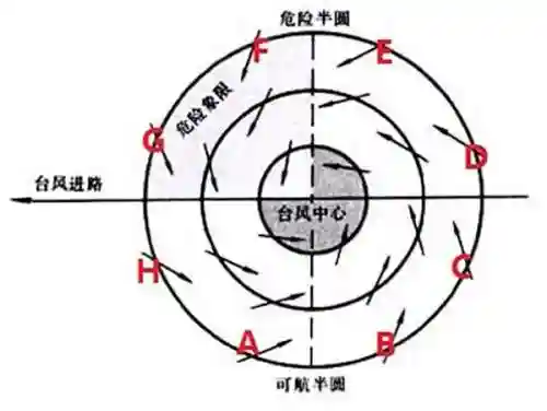 风王白虎阵容怎么搭配(木鹿大王最强阵容)插图11