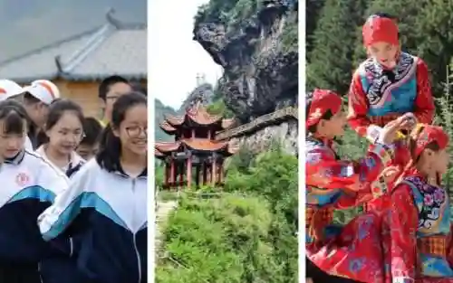 秘境寻踪阵容搭配攻略(云顶之弈阵容搭配图表)插图2