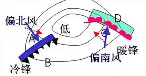 风王白虎阵容怎么搭配(木鹿大王最强阵容)插图7