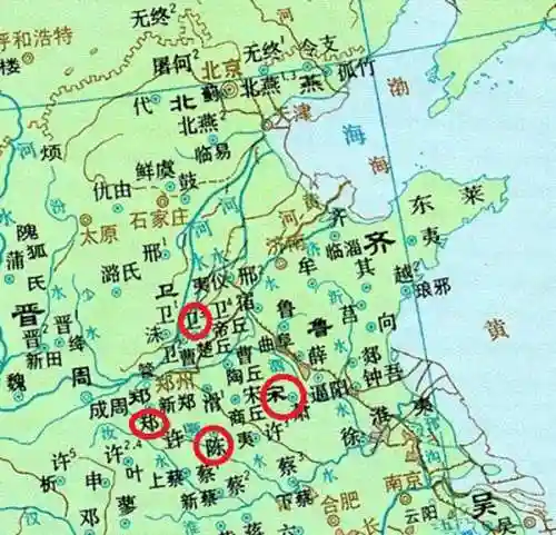 风王白虎阵容怎么搭配(木鹿大王最强阵容)插图1