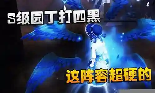 园丁四黑阵容搭配插图