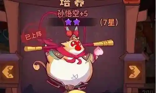 哈哈姐阵容搭配插图