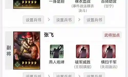 张飞队友阵容怎么搭配插图