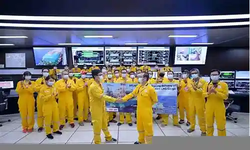 lng春季赛阵容搭配插图