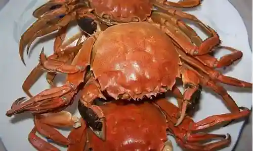 螃蟹搭配什么阵容好插图