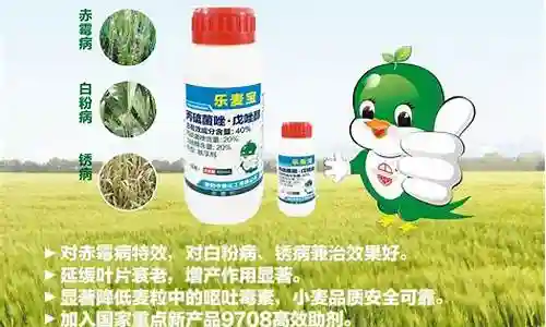 农药最强阵容搭配插图
