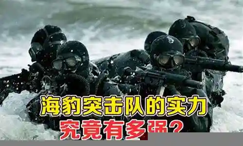 海豹部队搭配阵容推荐插图