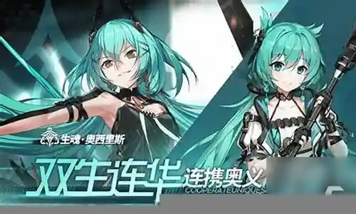 斯卡蒂阵容搭配插图