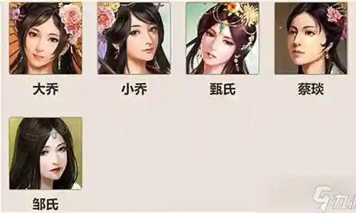 蔡庆的阵容搭配插图
