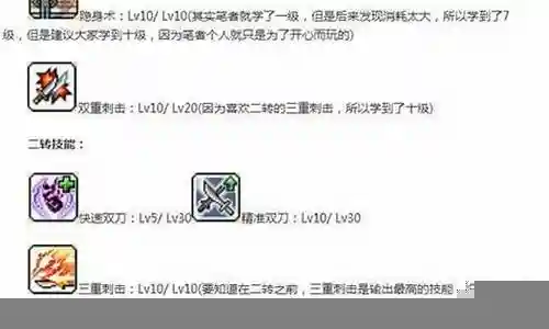 冒险双刀阵容搭配插图