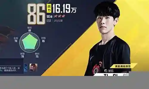 经理阵容怎么搭配插图