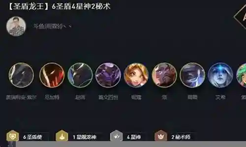 圣盾龙王阵容搭配插图