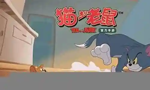 合理的阵容搭配方式插图