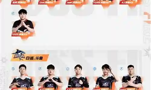 穿越火线各战队阵容搭配插图