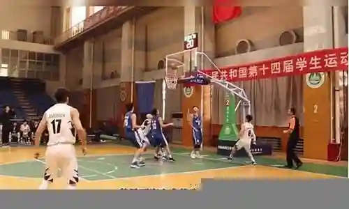 野球的最强阵容搭配图插图