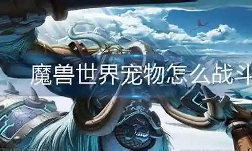 魔兽宠物战斗如何搭配阵容插图