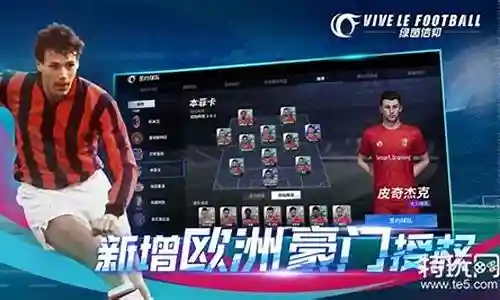 绿荫信仰什么阵容厉害插图