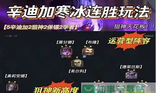 辛加迪寒冰阵容插图