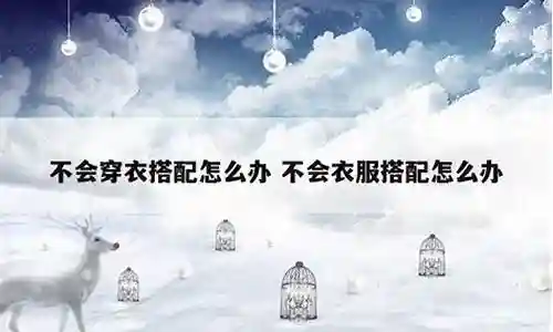 不会搭配阵容怎么办插图