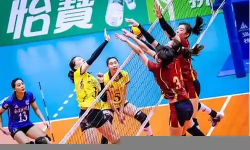 天津女排16年阵容插图