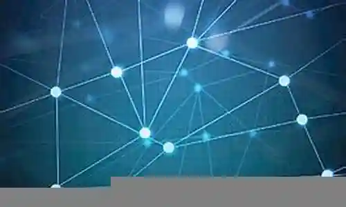 蓝网阵容2021图片插图