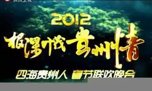 贵州卫视春晚阵容2020插图