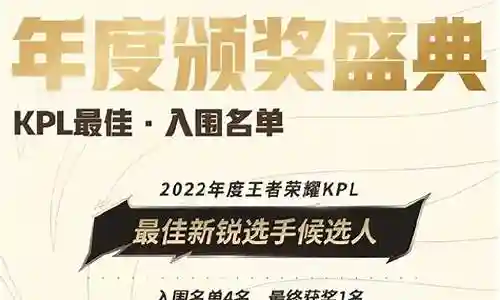 国内最佳选手阵容排名插图