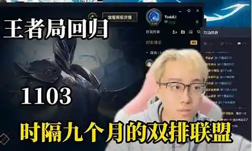 陈泽黑白阵容搭配图插图