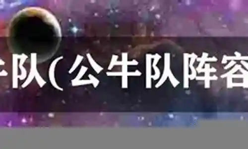 公牛05-06阵容插图