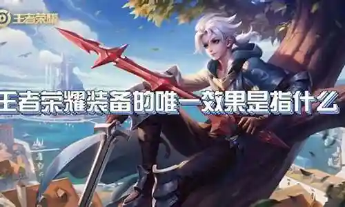 王着装备的唯一效果是指什么插图