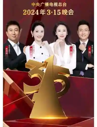 315阵容插图1