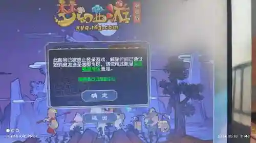 梦幻西游端游停级插图1