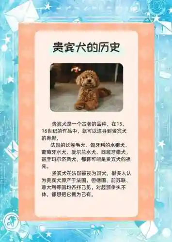 贵宾会什么技能插图