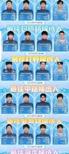 最佳战队阵容插图