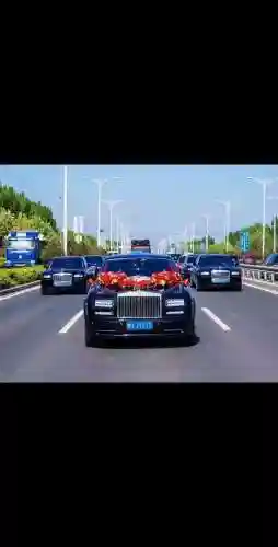 结婚车队阵容插图1