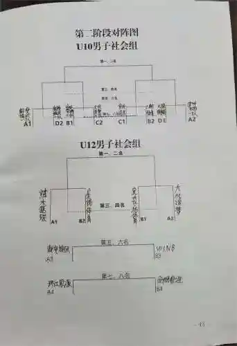 河池阵容改变插图