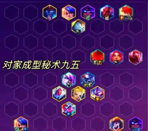 维希尔阵容插图1