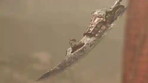 所有猎人的特别武器插图1