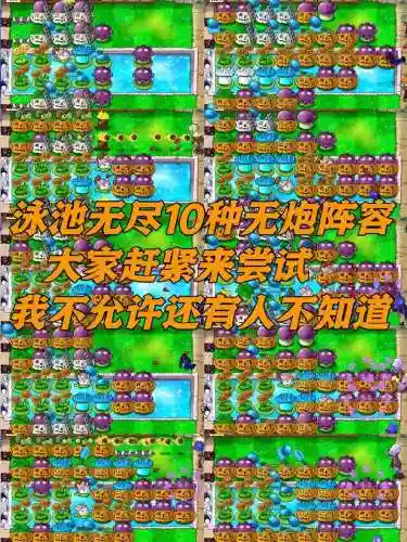 无决斗阵容插图