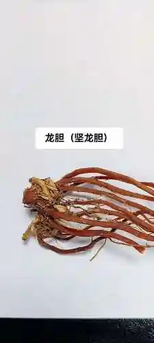 龙神技能凭证青龙胆插图