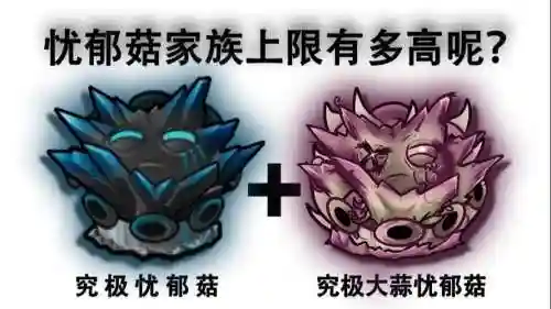 最强蘑菇阵容插图