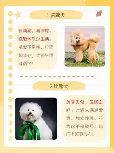 贵宾会什么技能插图1
