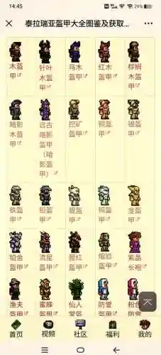 泰拉瑞亚手机版法师毕业装备插图