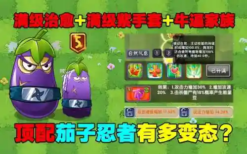 茄子忍者阵容插图1