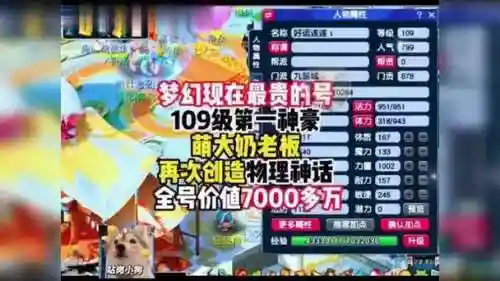 梦幻西游2008区号很贵插图1