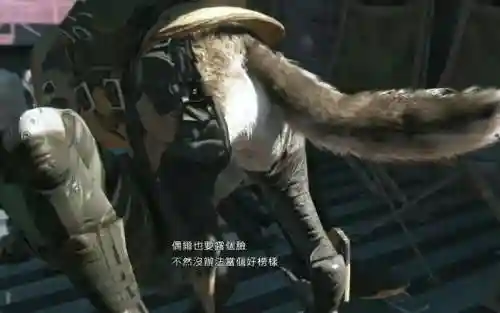 合金装备5怎么看dd_2插图