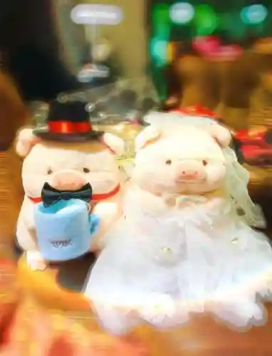 小猪婚礼阵容插图1