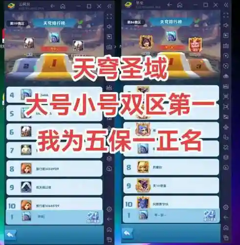 圣域神秘阵容搭配插图
